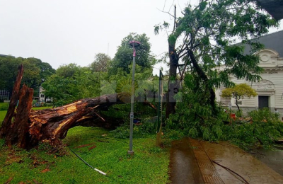 La tormenta golpeó fuerte a la capital chaqueña y zonas aledañas