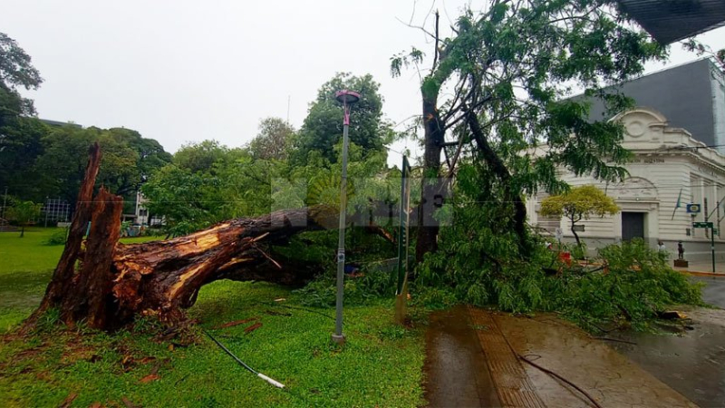 La tormenta golpeó fuerte a la capital chaqueña y zonas aledañas