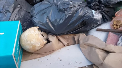 Un macabro hallazgo causó estupor en Playa Grande en pleno inicio de la temporada