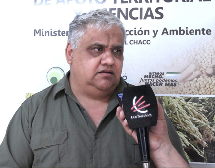 cosecha.jpg