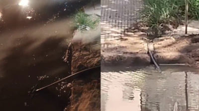 Vecina lamenta el derroche de agua potable en la calle por una pérdida  