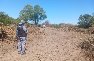 Mayores controles: Policía y Bosques detectan dos nuevos desmontes