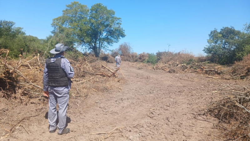 Mayores controles: Policía y Bosques detectan dos nuevos desmontes
