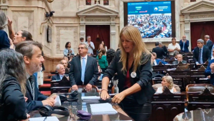 diputada1.jpg