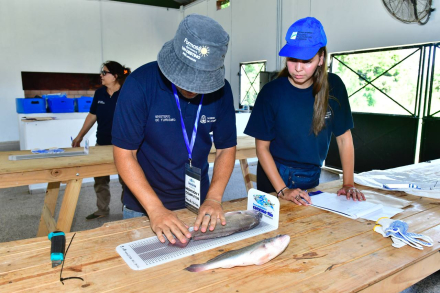 Fiesta de la Corvina30.jpg