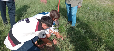 Plantaron arboles en la EPES N°31 (1).jpeg
