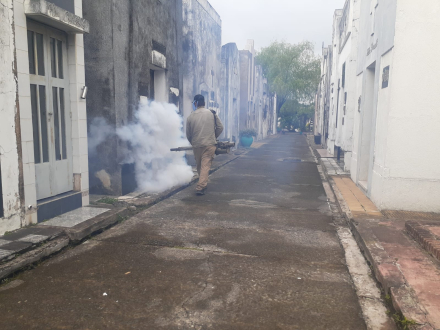 acciones dengue cementerio Virgen del Carmen (2).jpeg