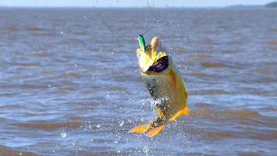 Reprograman el Encuentro de Pesca Inclusiva en el río Paraná