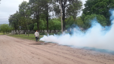 Brigadas sanitarias contra el dengue