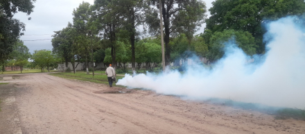 Trabajos dengue cementerio San Antonio (2).jpeg