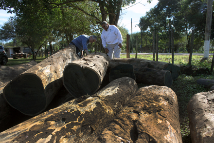fabriciano y fredy validando la madera decomisada.jpg