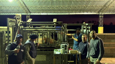 Avanzan en producción de embriones bovinos in vitro