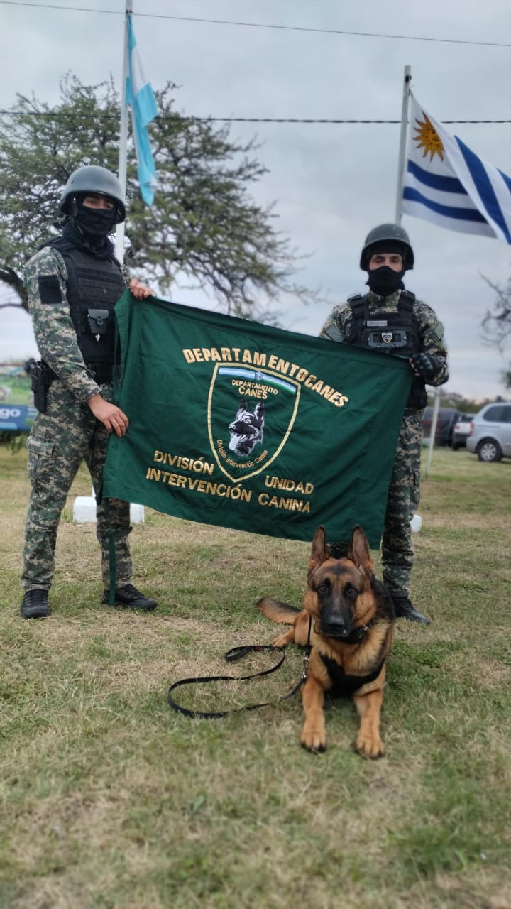 perros2