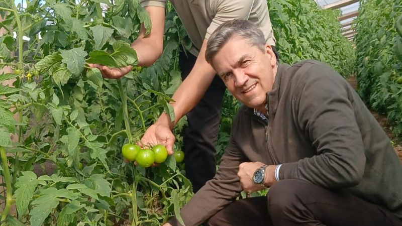 Tabacaleros de San Martín avanzan firmes en la diversificación productiva