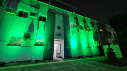 legislatura