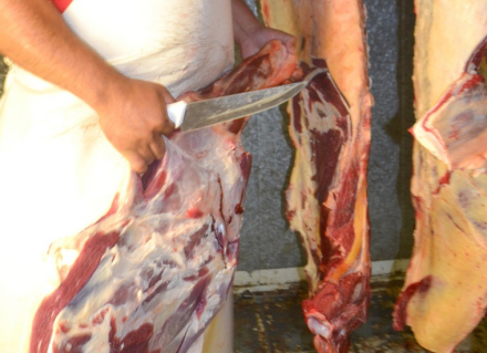 carne saenz peña