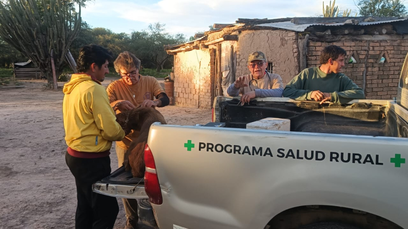 Los desafíos pendientes para proteger la fauna silvestre y la salud pública