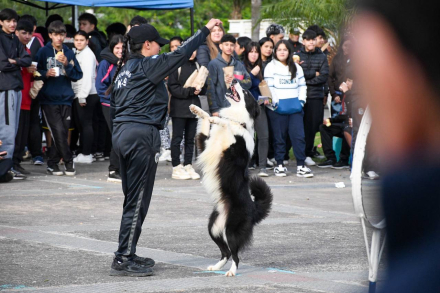 Expo Seguridad Vial (2)