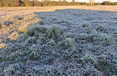 Anticipan heladas y un fuerte descenso de temperatura en el Chaco