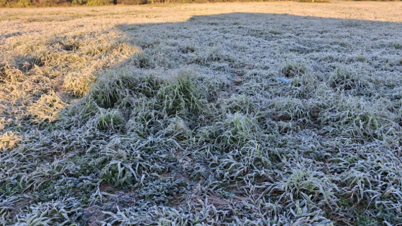 Anticipan heladas y un fuerte descenso de temperatura en el Chaco