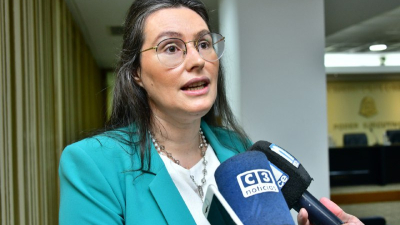 Aseveran que la tarifa eléctrica de Formosa es "la más competitiva a nivel nacional"