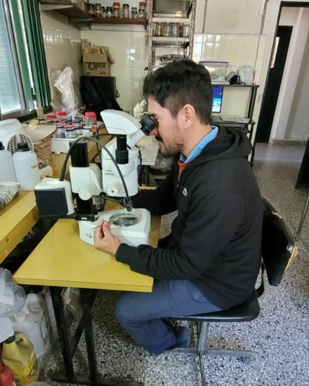Obregon-microscopio