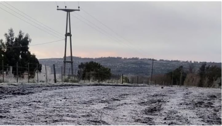 frio polar 2