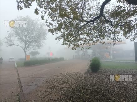 neblina 1