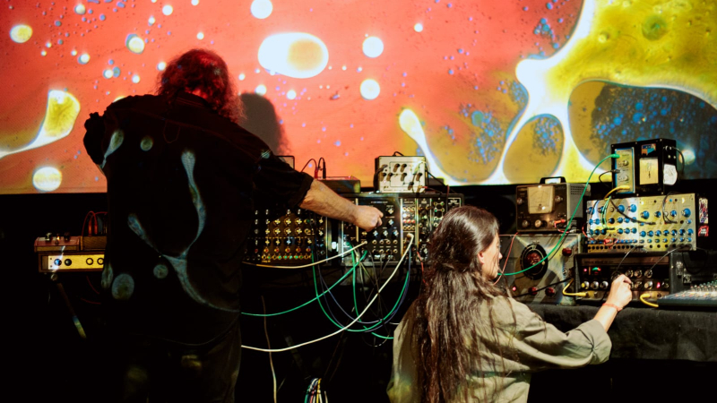 Conexiones Electroacústica Selvática