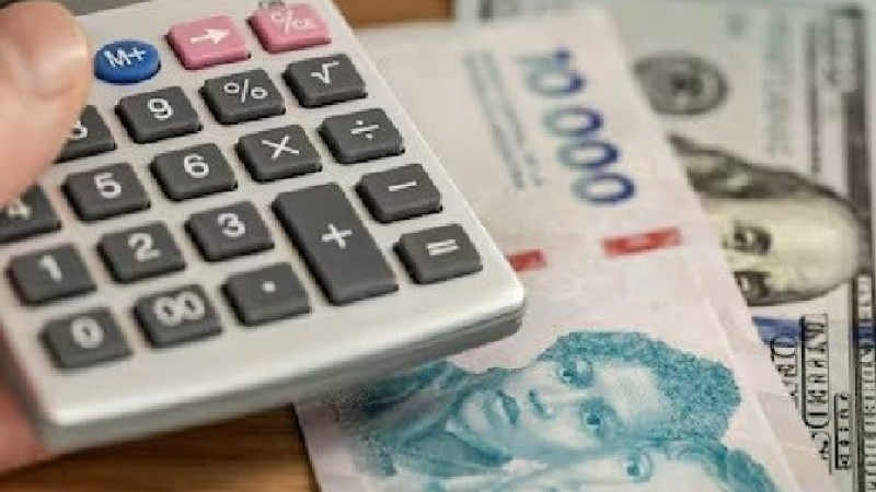 Síntomas de agotamiento en el programa económico: abundancia de dólares e ingresos bajos