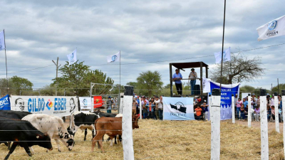 Vizcaíno resaltó la "enorme incidencia" del PAIPPA en la vida de las familias rurales