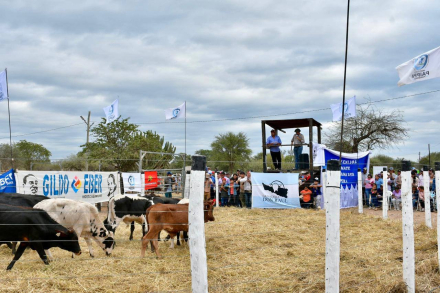Feria Ganadera Paippera en El Chorro