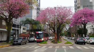 Llovizna, 12 grados y viento sur: así está el tiempo este viernes en Resistencia