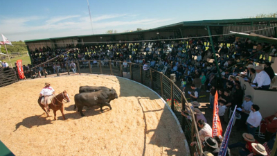 Caá Cupé coronó su gran fiesta con ventas ágiles y compradores de toda la región