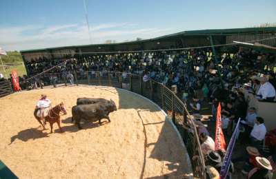 Caá Cupé coronó su gran fiesta con ventas ágiles y compradores de toda la región