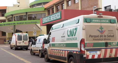 Tragedia: un perro mató a una jubilada de 93 años 