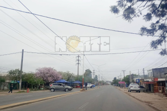 Circulaba por avenida Sabín, perdió el control y embistió un poste de luz