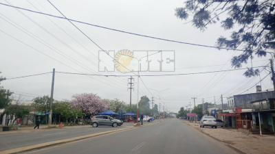 Circulaba por avenida Sabín, perdió el control y embistió un poste de luz