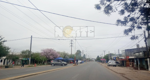 Circulaba por avenida Sabín, perdió el control y embistió un poste de luz