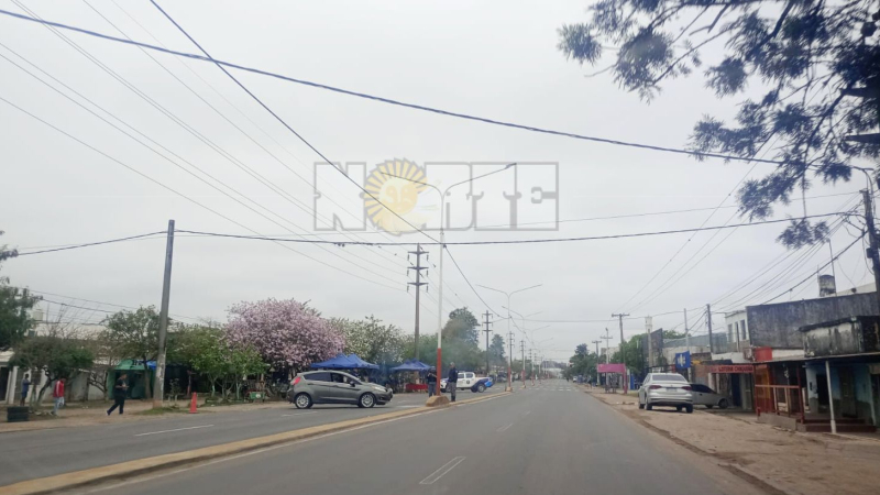 Circulaba por avenida Sabín, perdió el control y embistió un poste de luz