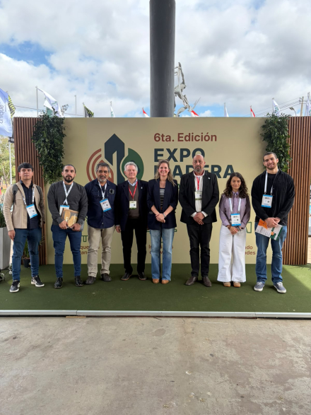 Empresas formoseñas en la Expo Madera Paraguay (2)