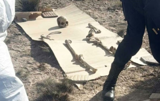 Caminaba con su perro por la ruta y encontró 125 huesos