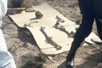 Caminaba con su perro por la ruta y encontró 125 huesos