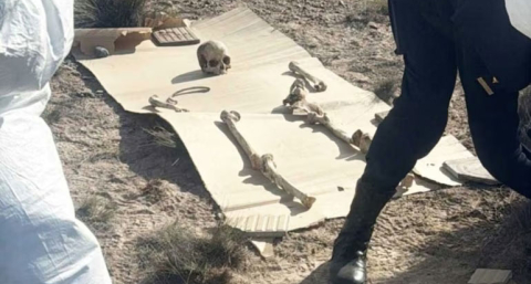 Caminaba con su perro por la ruta y encontró 125 huesos