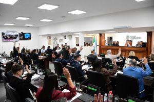La Legislatura aprobó una ley para fortalecer la prevención del suicidio