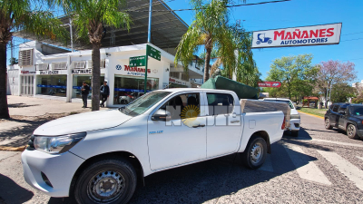 Operativo Sillón Verde: secuestraron más de 70 kilos de marihuana escondidos en sillones de una concesionaria