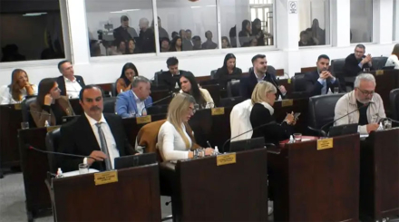 diputados