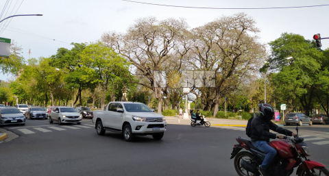 Miércoles fresco en Resistencia y se esperan días templados para lo que resta de la semana