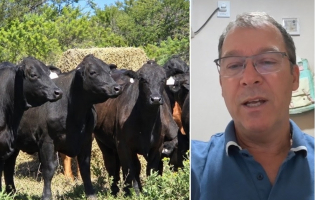 "Producimos animales para el productor genuino"