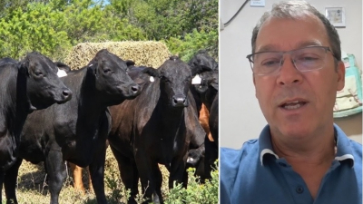 "Producimos animales para el productor genuino"